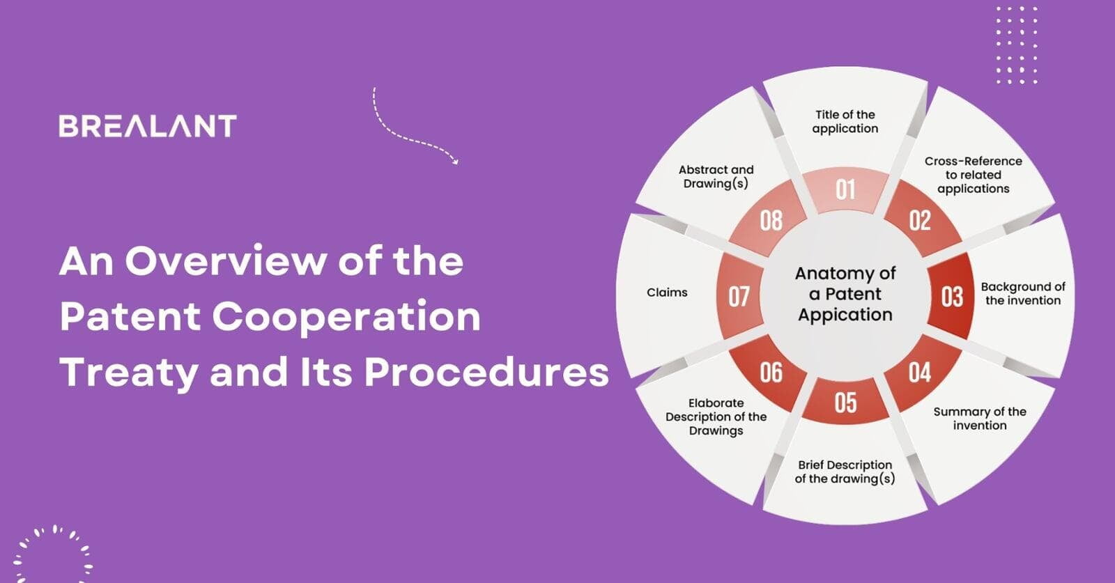 An-Overview-of-the-Patent-Cooperation-Treaty-and-Its-Procedures