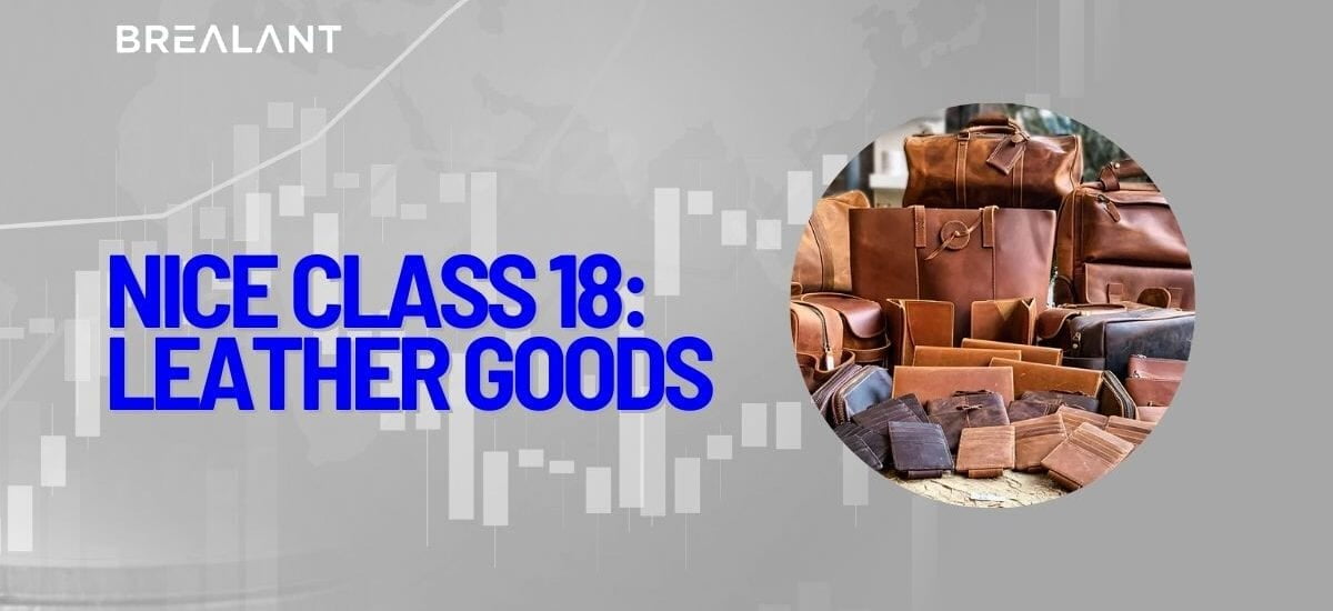 Nice Class 18: Leather Goods