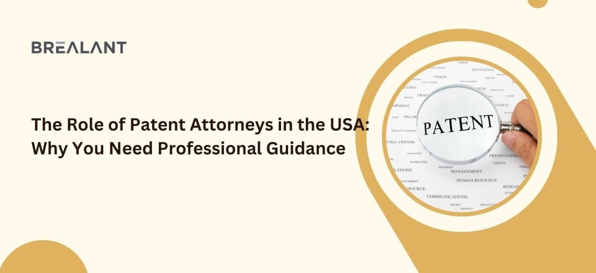 The Role of Patent Attorney in U.S.: Why You Need Professional Guidance