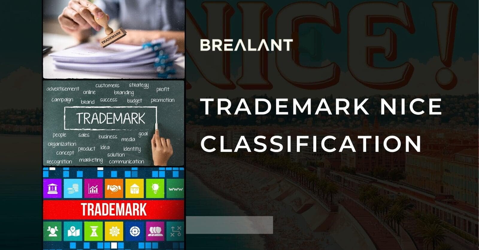 Trademark Nice Classification