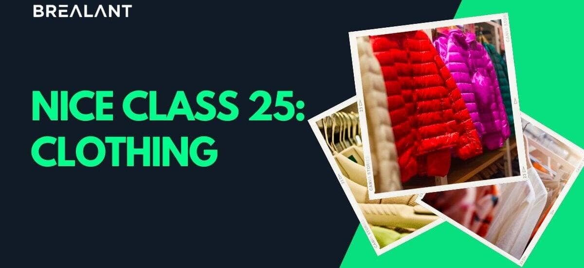 Nice Class 25: Clothing