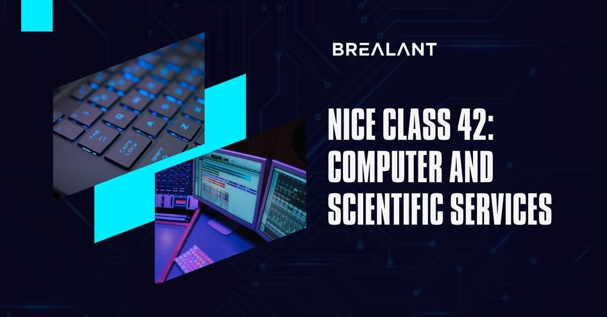 Nice Class 42: Computer and Scientific Services